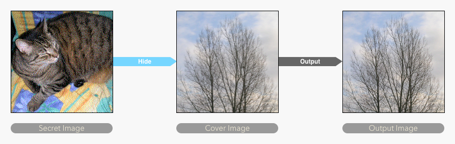 steganography pipline